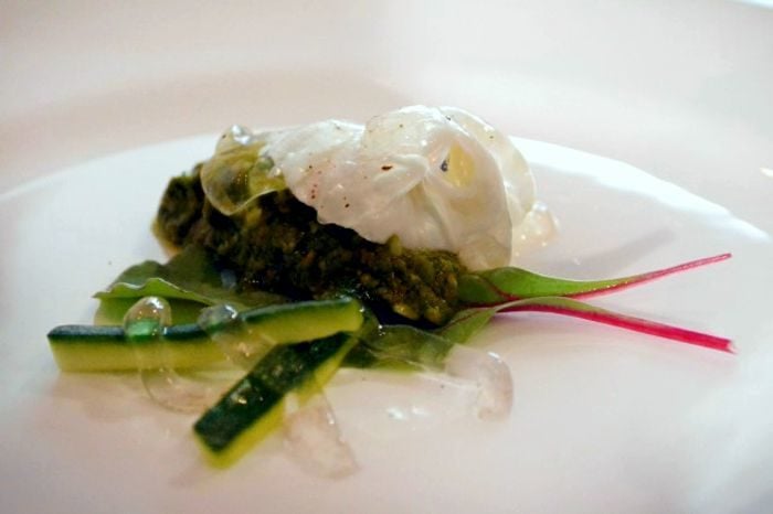 Piatto a base di medusa