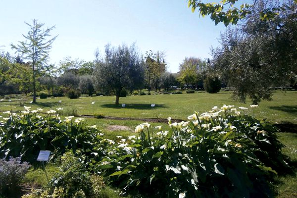 Orto Botanico Ghiradi - Toscolano Maderno