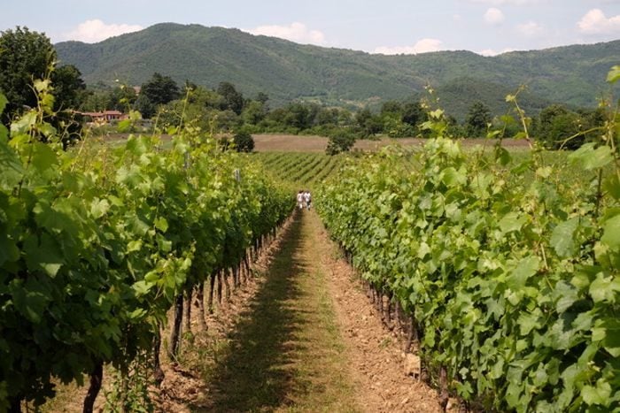 Orientering al Mosnel - Camignone