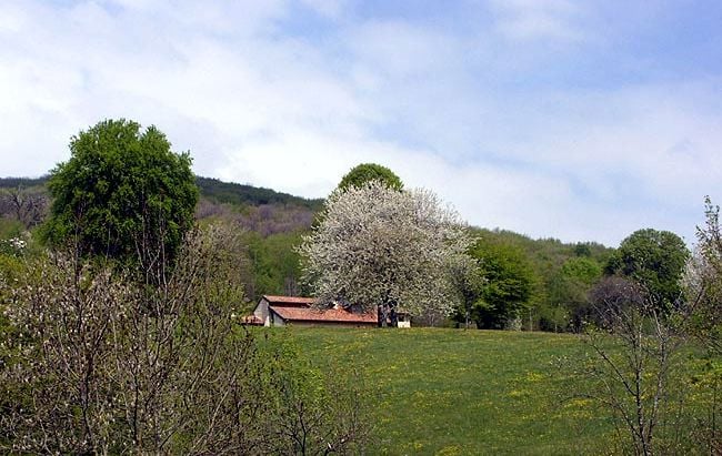 Altopiano di Cariadeghe - Serle