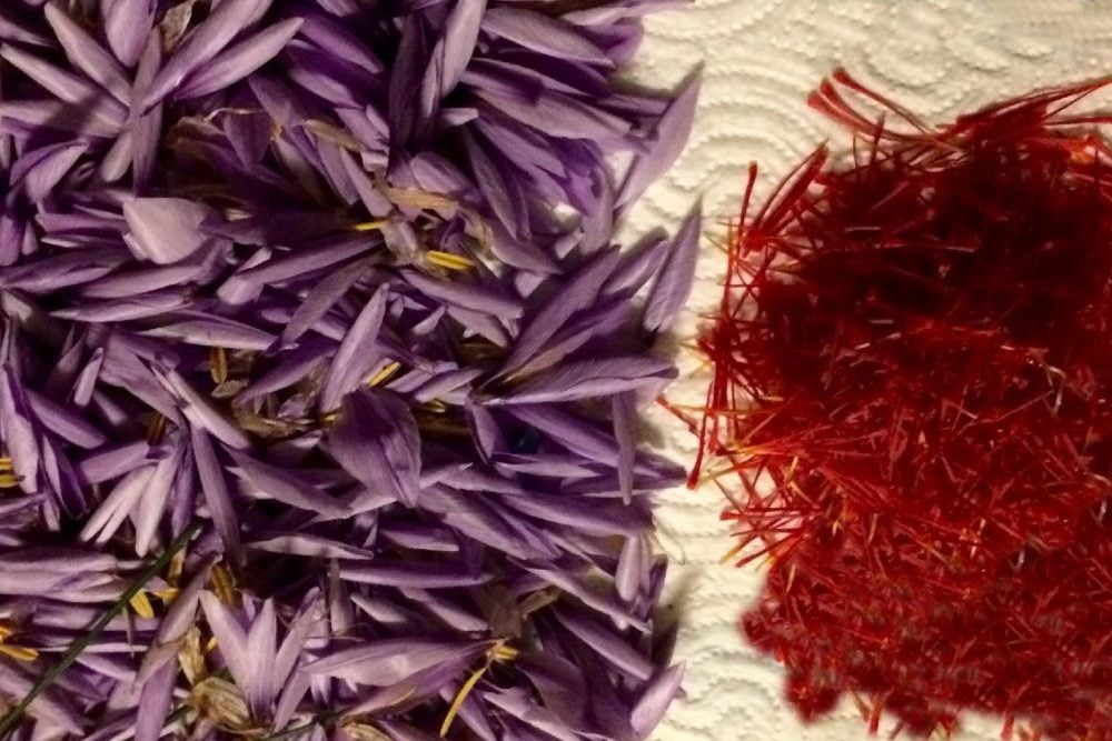 zafferano - Brescia a Tavola