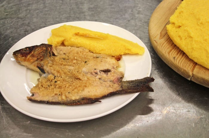 Antica Trattoria del Gallo - Tinca al Forno di Clusane