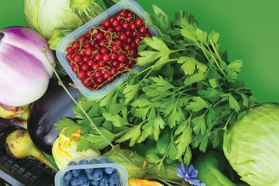 Azienda Agricola Iside - Sulzano