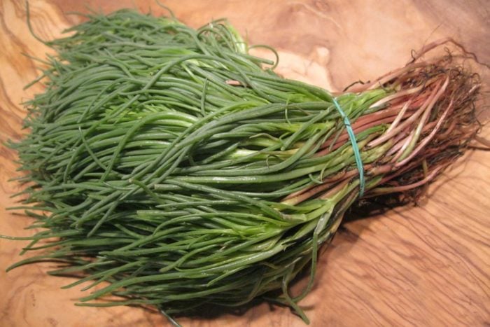Barba di Frate o Agretti