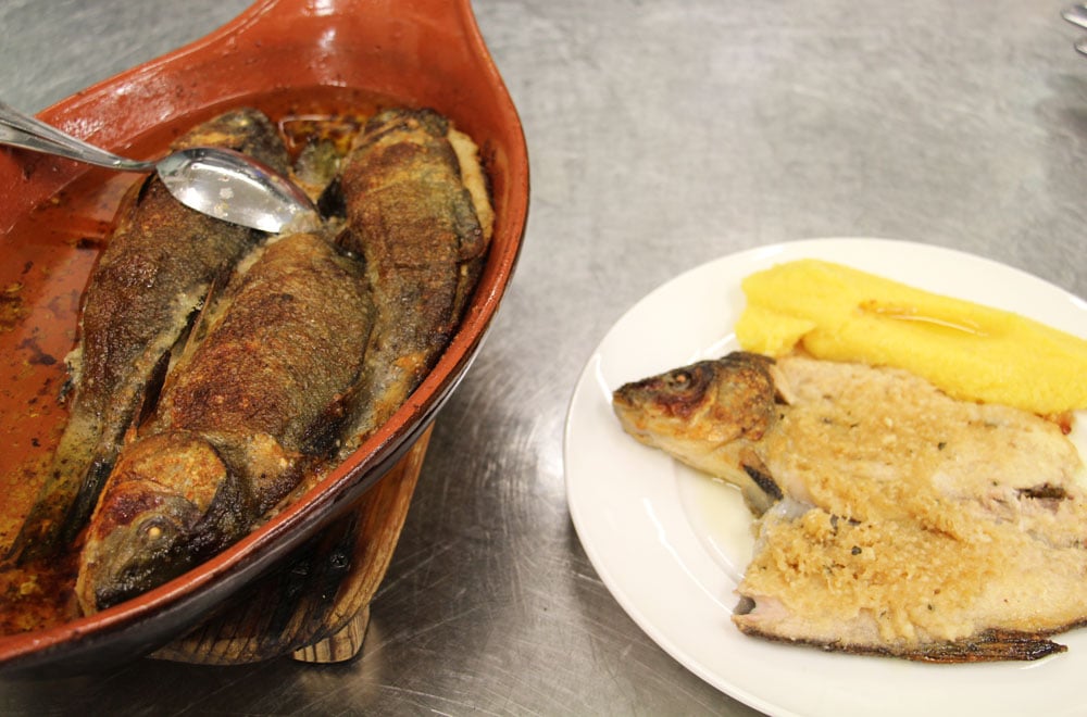Antica Trattoria del Gallo Clusane d'Iseo Tinca al Forno di Clusane Tinca al Forno di Clusane