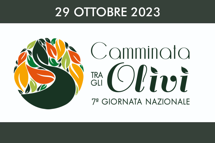 Camminata tra gli Olivi 2023