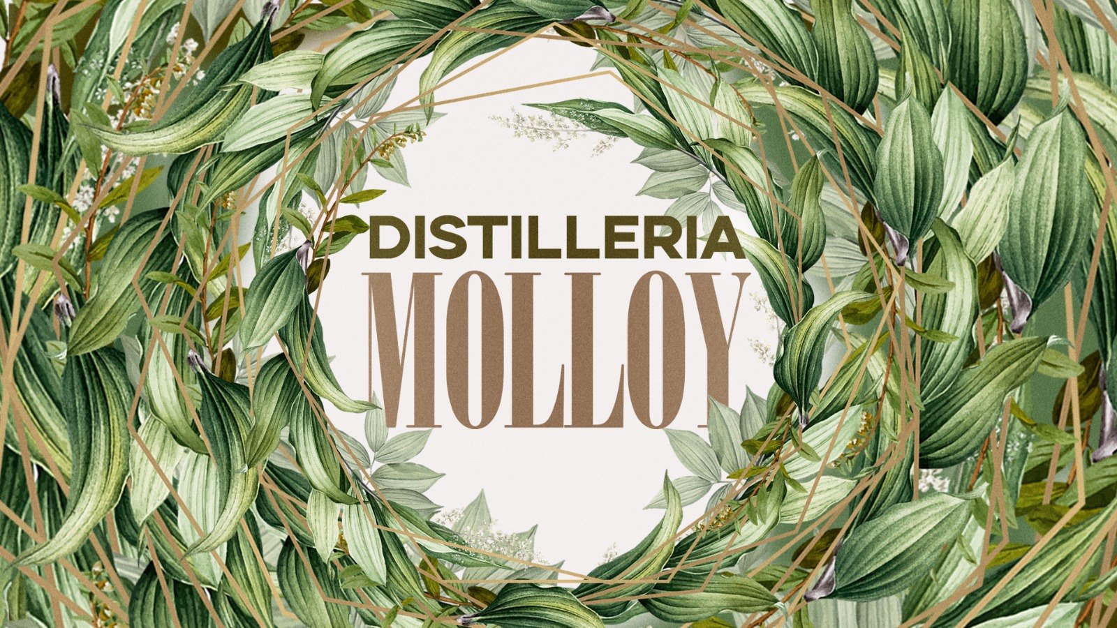 Distilleria Molloy Brescia