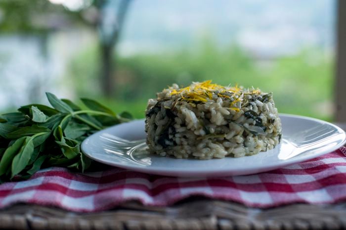 Risotto con i verzulì e formaggella di Collio by Giovanna Peli