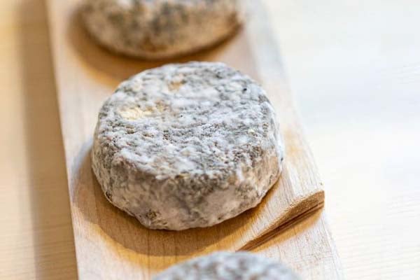 Serata degustazione formaggi e vino alla Latteria del Carmine Brescia