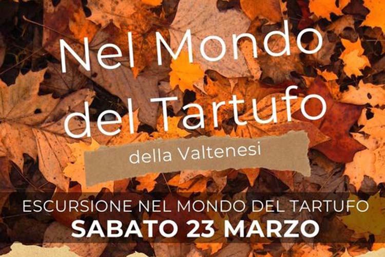 Escursione nel mondo del tartufo della Valtenesi