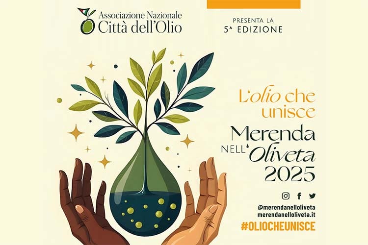 Merenda nell'oliveta a Sulzano 2025