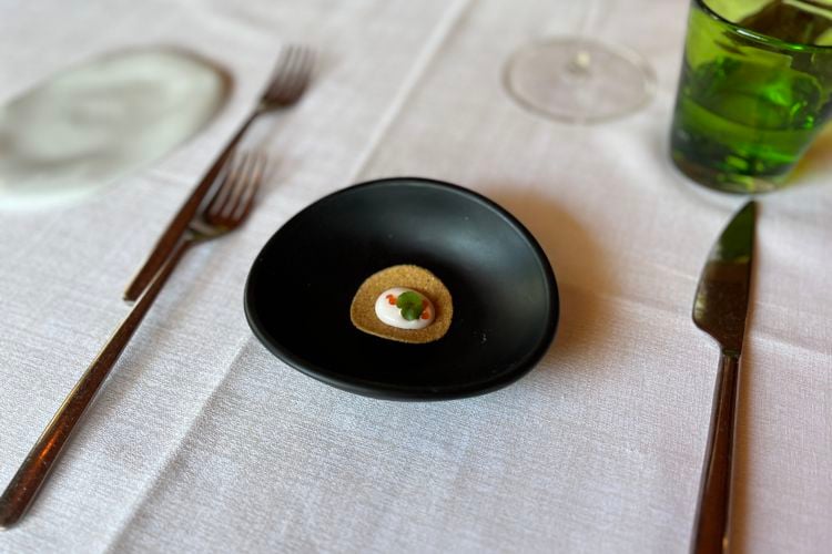 Dalie e Fagioli - Manerba - Chips con maionese di polipo