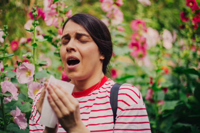 Allergie primaverili